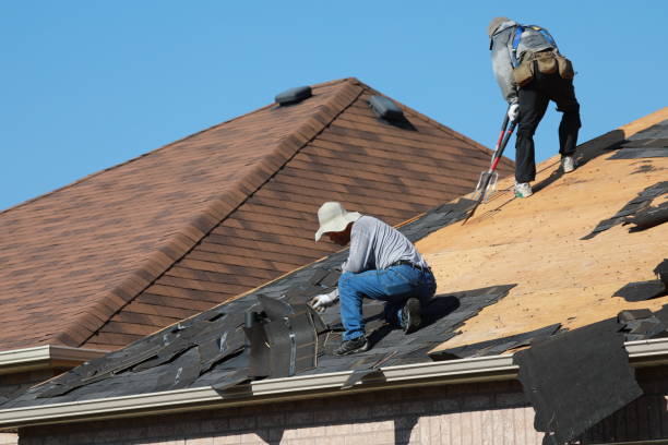 Best Emergency Roof Repair Services  in Brighton, MI