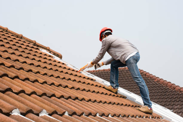 Best Roof Leak Repair  in Brighton, MI